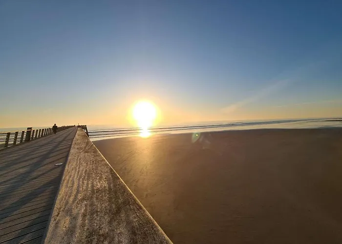 Renove 3 Pieces, Parking, Acces Direct Ocean - Fr-1-224c-89 Apartmán *